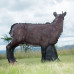 Wildcrete Chamois female